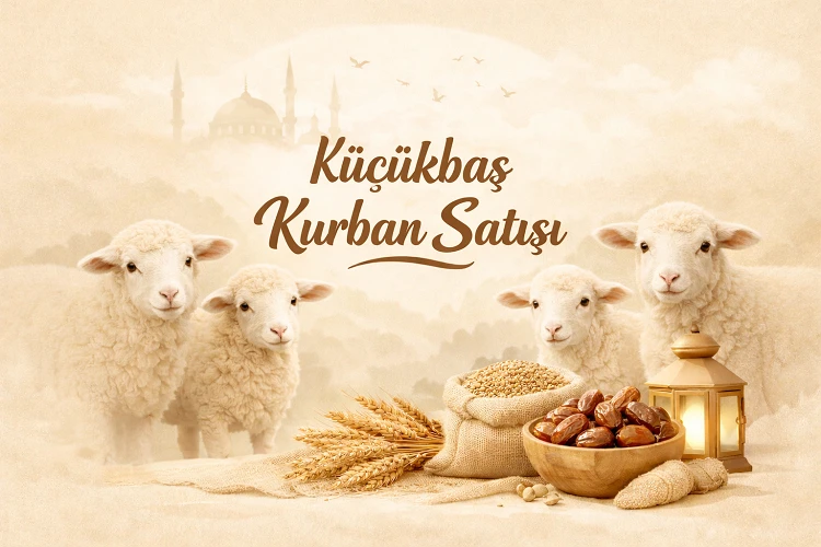 Küçükbaş